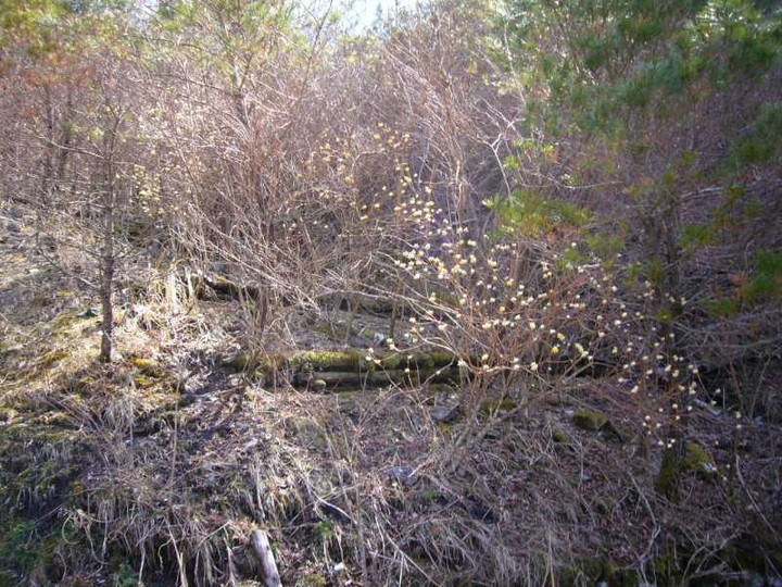 P1050761
