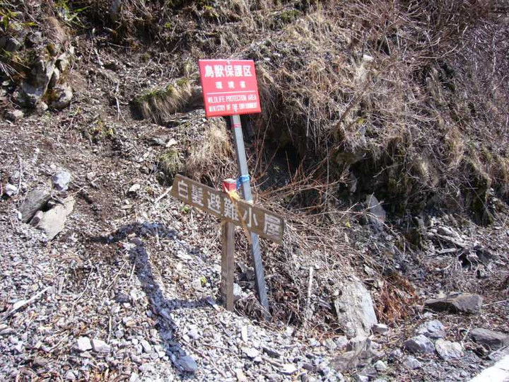 P1050767