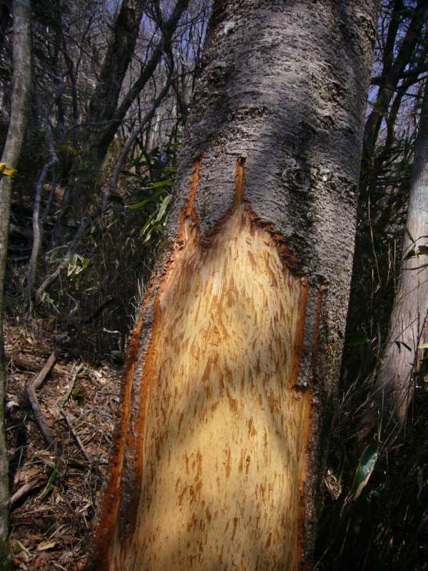 P1050773