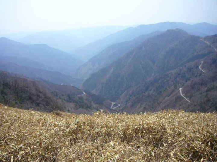 P1050796