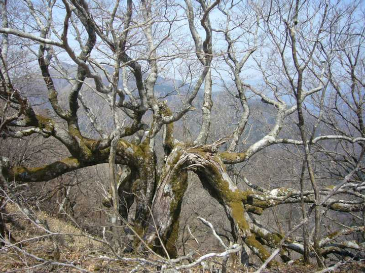 P1050800