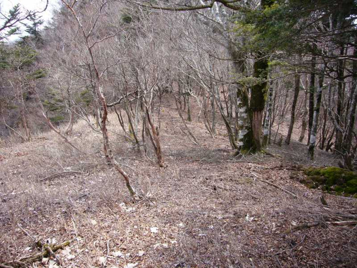 P1050828