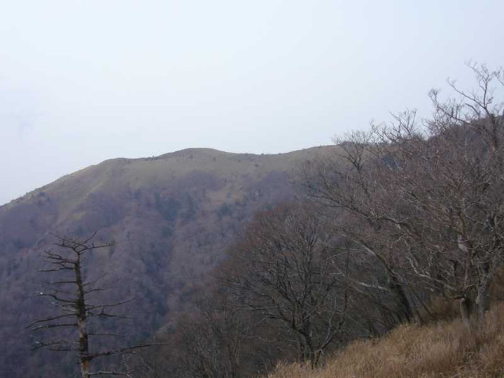 P1050835
