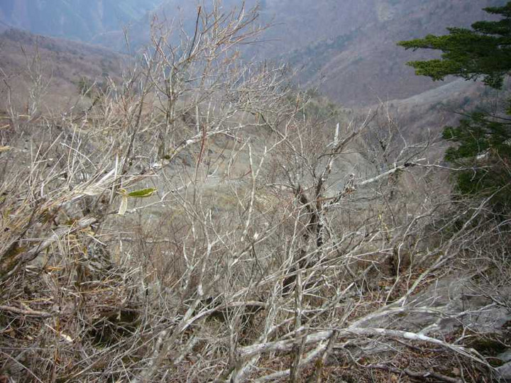 P1050837_2