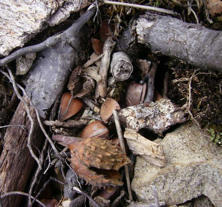 P1050847