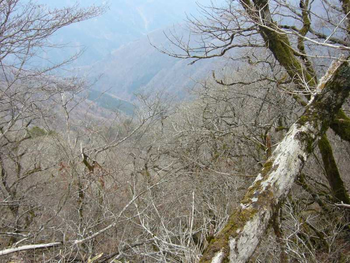 P1050855