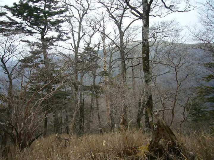 P1050858