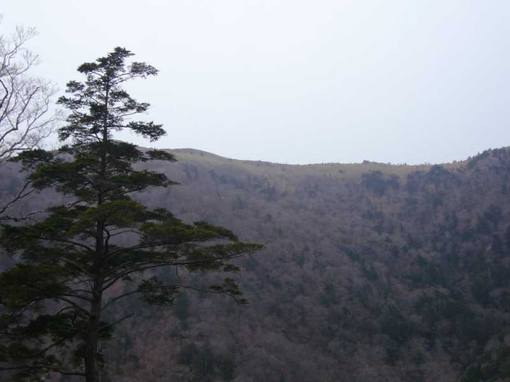 P1050859