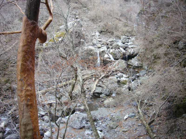 P1050866
