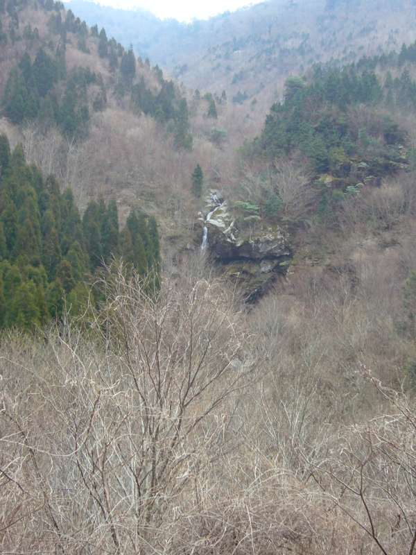 P1050870