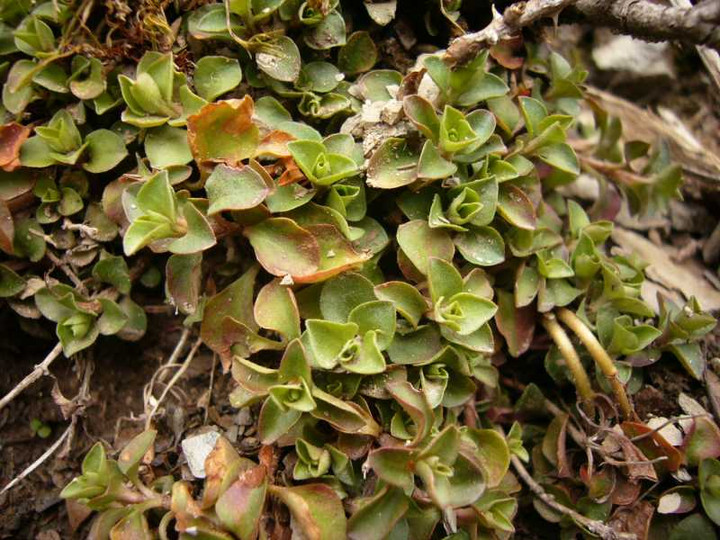 P1050896