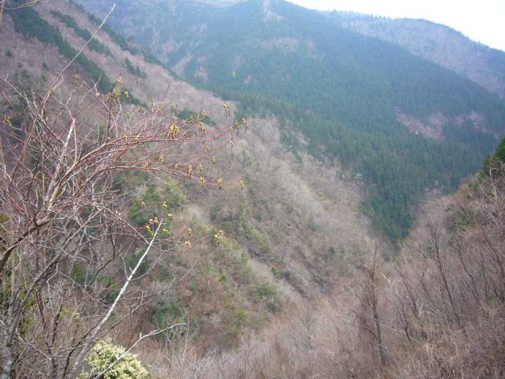 P1050907