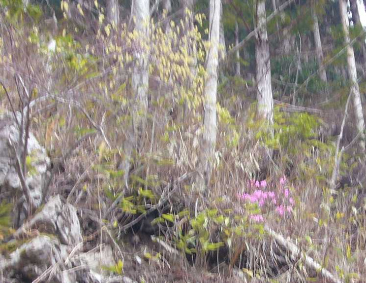 P1050935