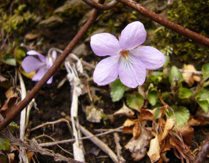 P1050937