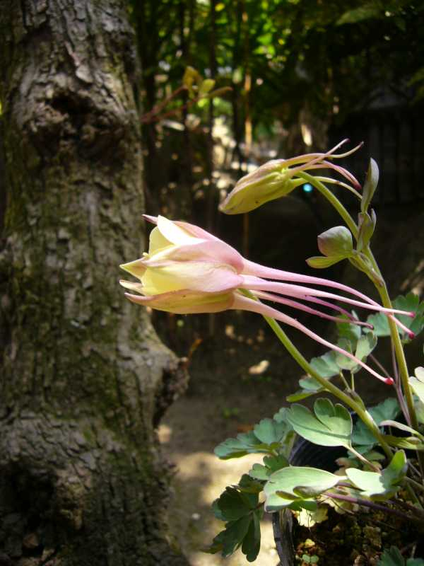 P1060110