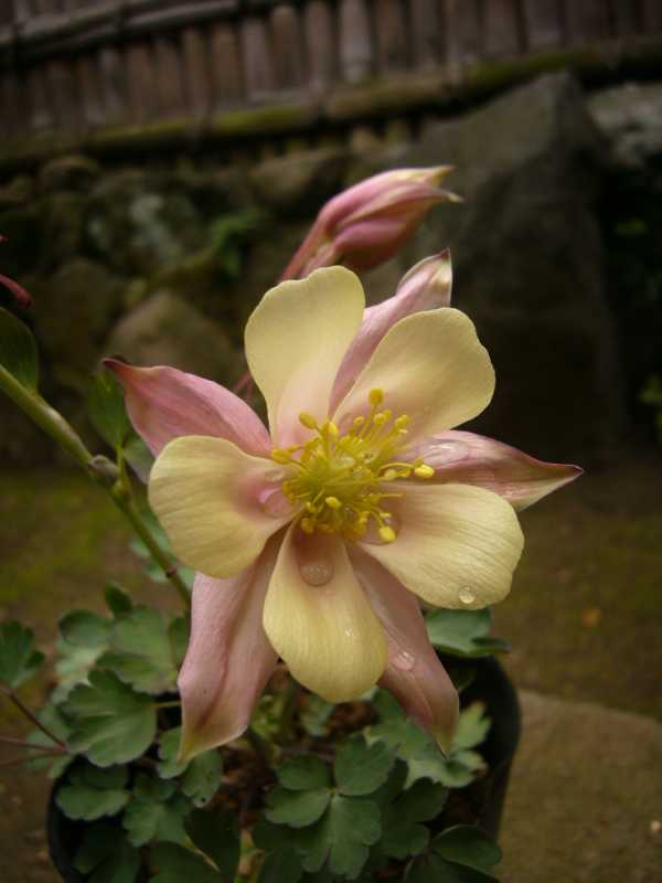 P1060140