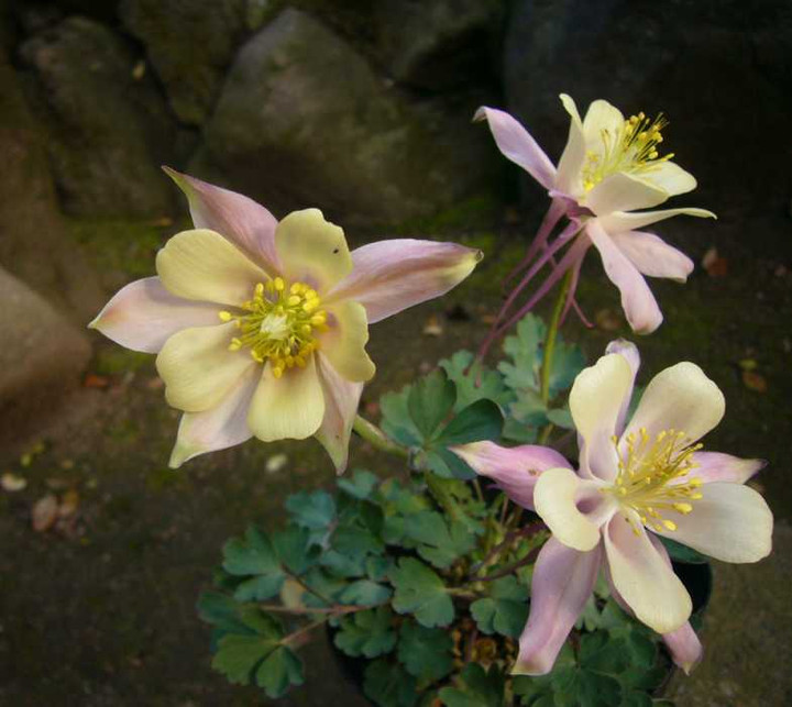 P1060584