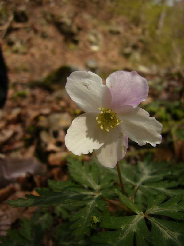 P1060514