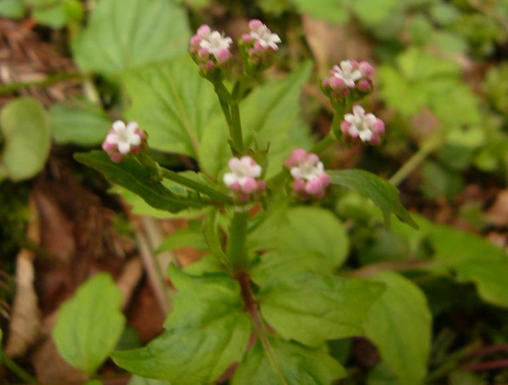 P1060327