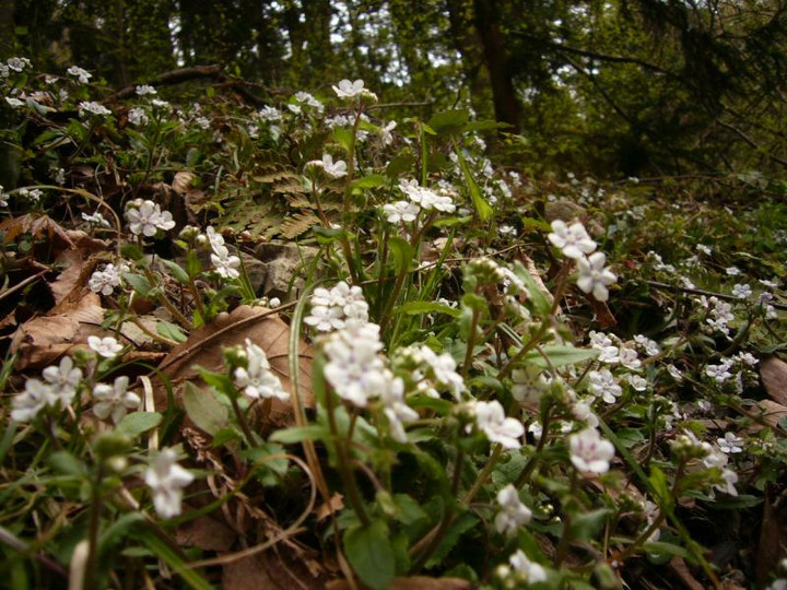 P1060377
