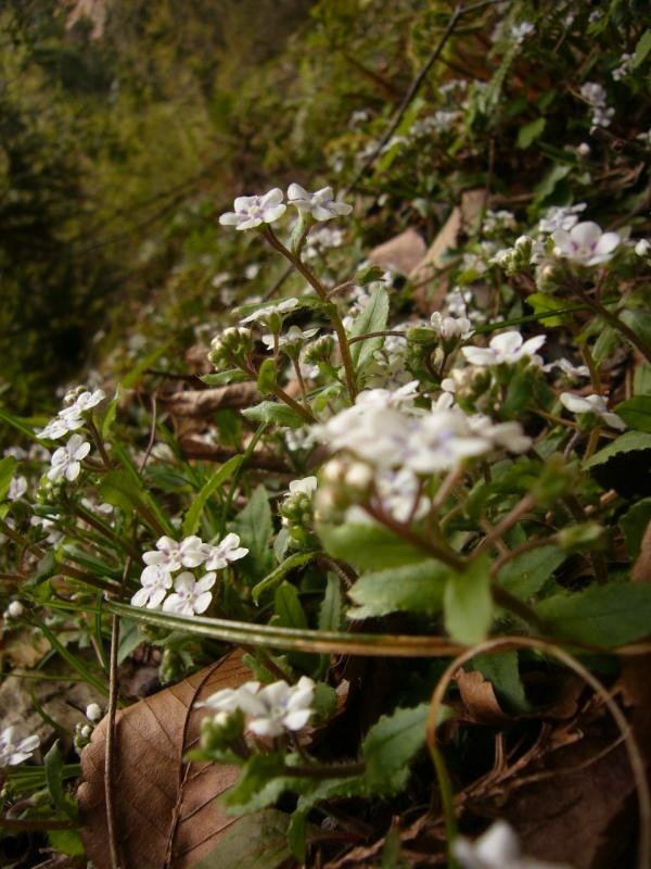 P1060378