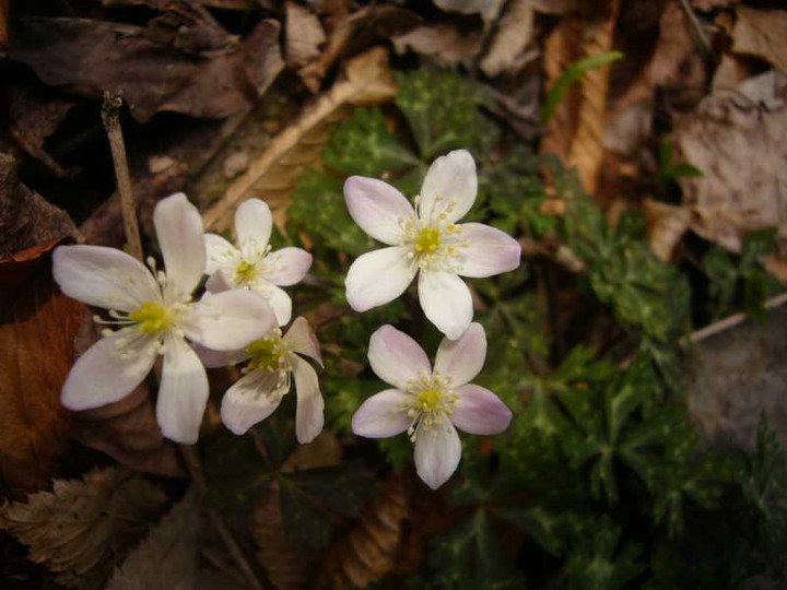 P1060543