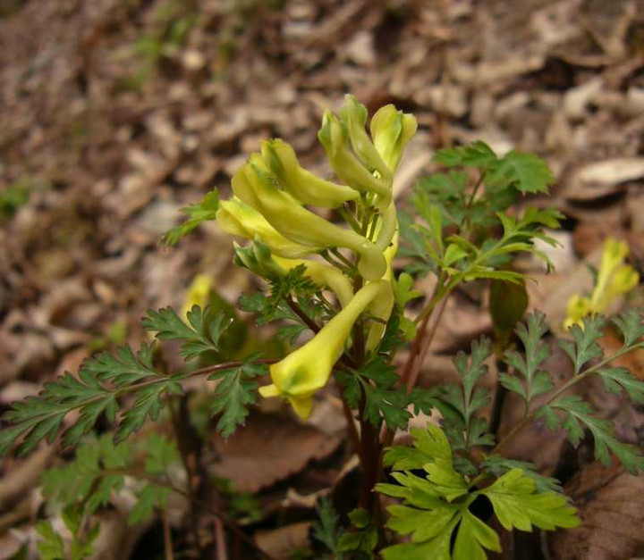 P1060320
