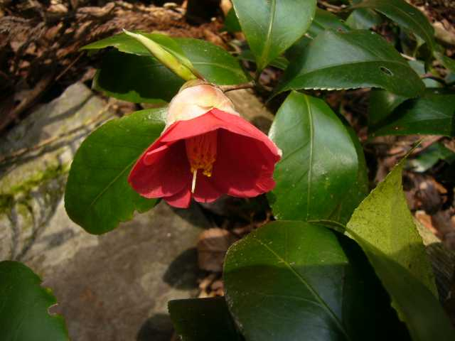 P1060566