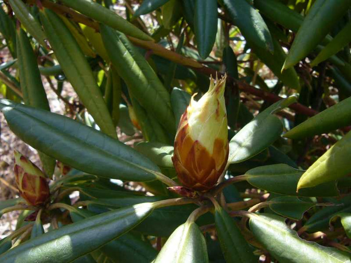P1070032