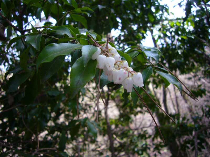 P1070059