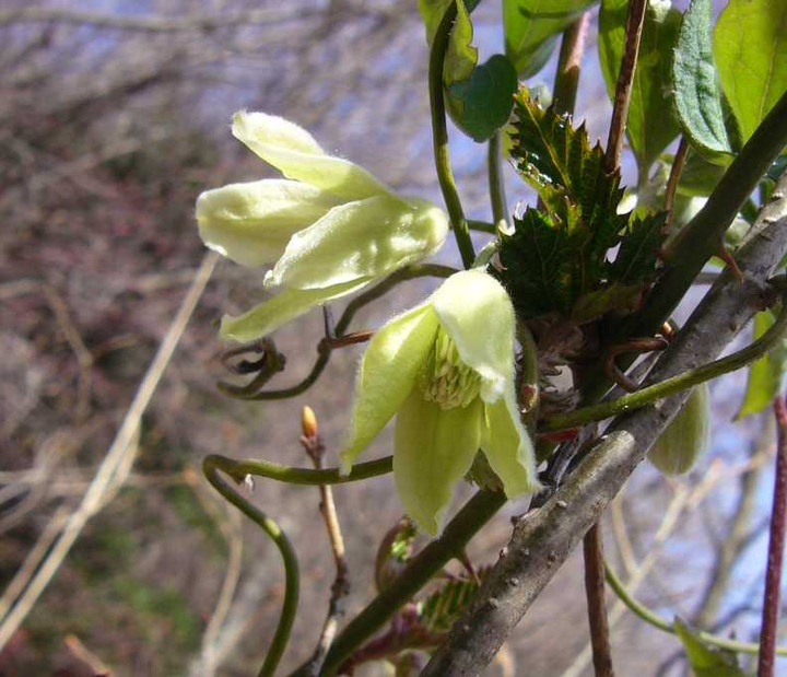 P1070106