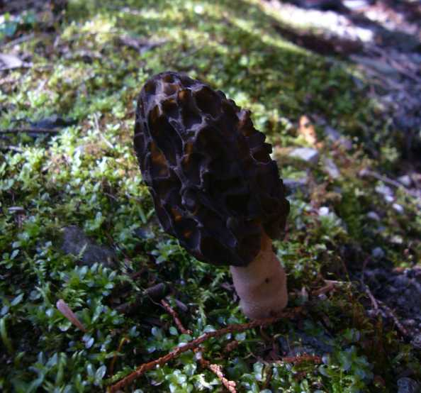 P1070639