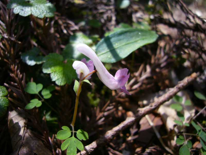 P1070644