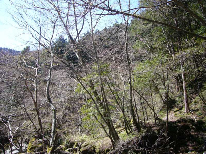 P1070660