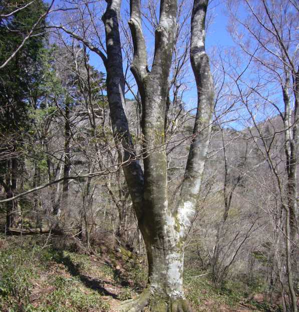 P1070680