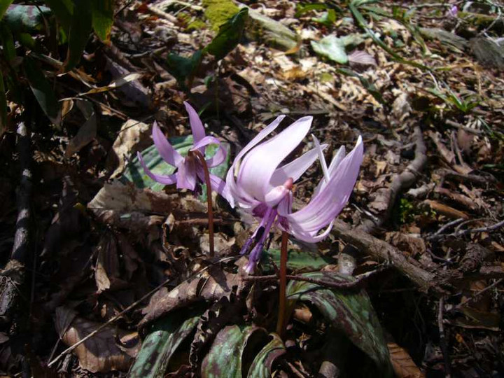 P1070686