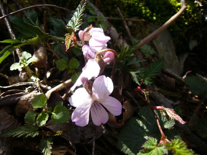 P1070797