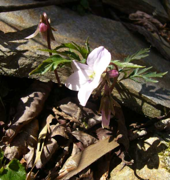 P1070800