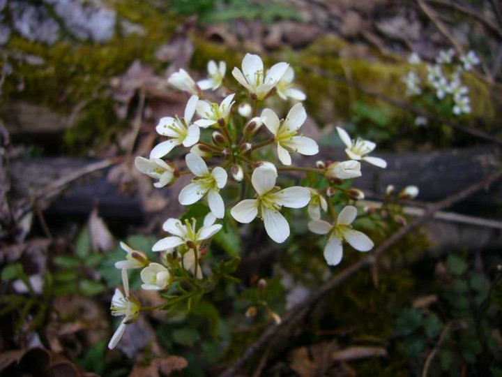 P1070801