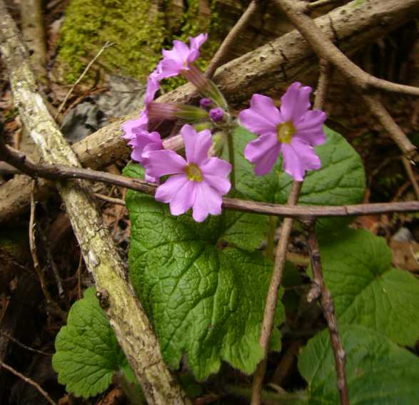 P1080278