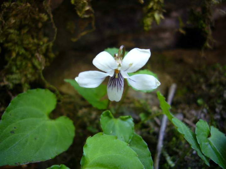 P1080764
