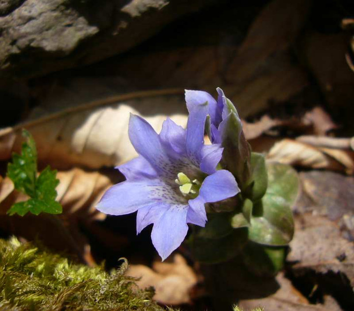 P1080791
