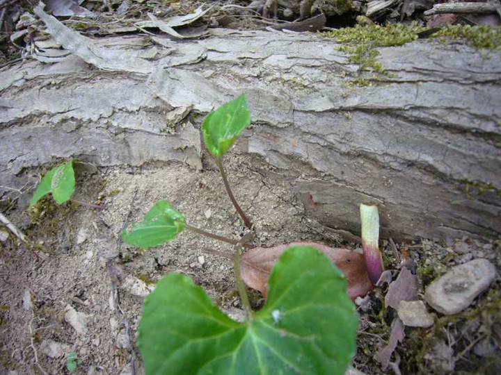 P1080834