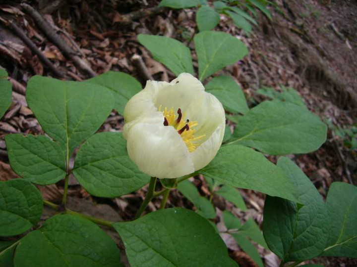 P1080837
