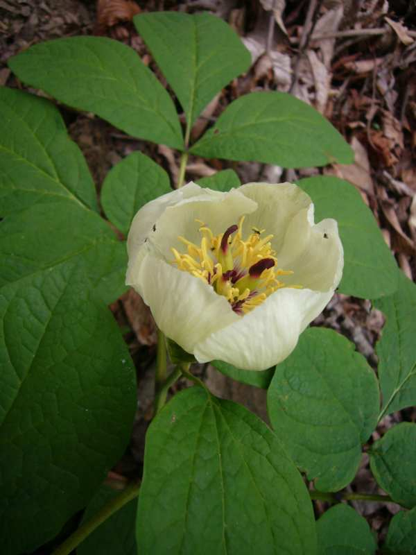 P1080838