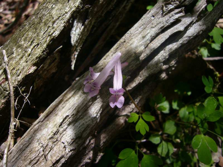 P1090422