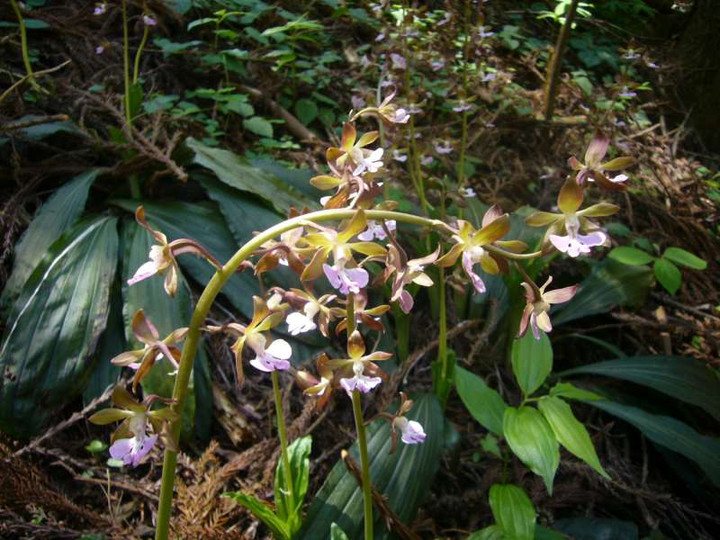 P1100063