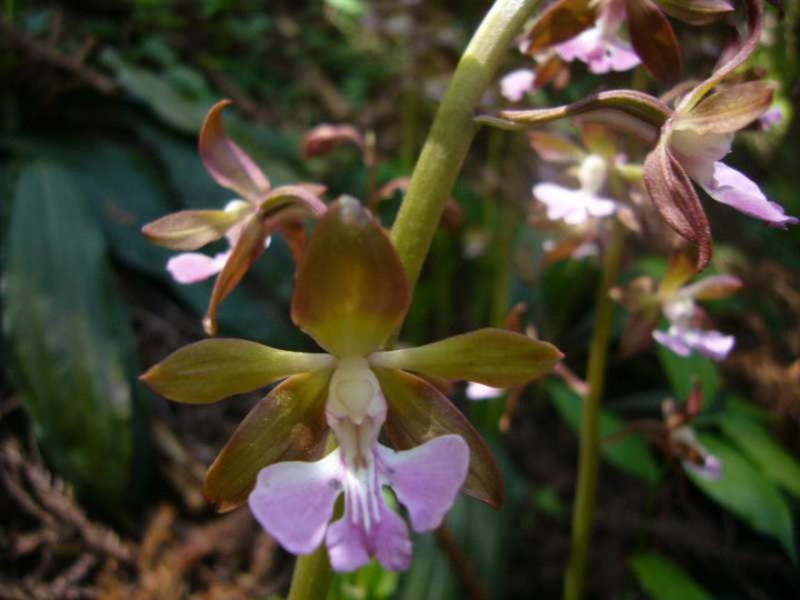 P1100066