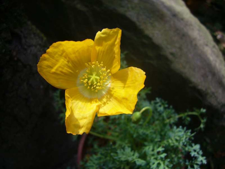 P1100279