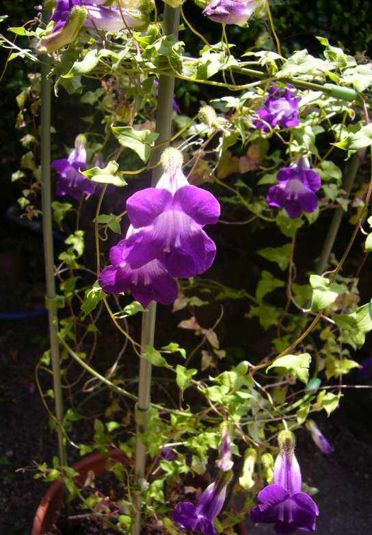 P1100345